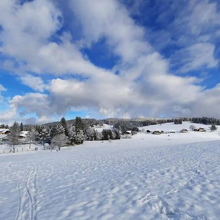 Gemuetliche Ferienwohnung Fuer 4 Gaeste In Schoenwald Schönwald Exterior foto