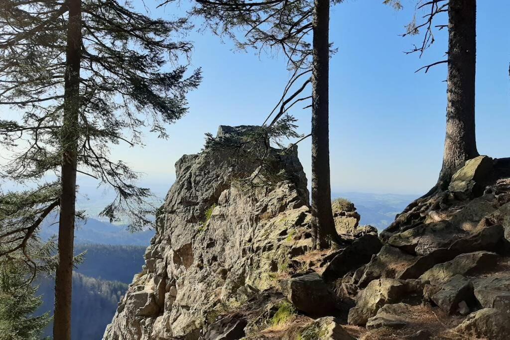 Gemuetliche Ferienwohnung Fuer 4 Gaeste In Schoenwald Schönwald Exterior foto